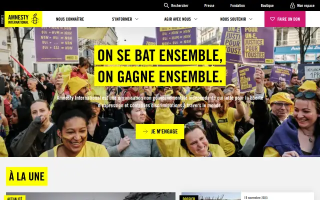 Screenshot of amnesty.fr
