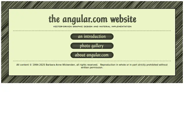 Screenshot of angular.com
