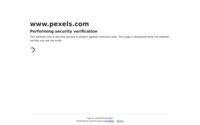 Screenshot of pexels.uk