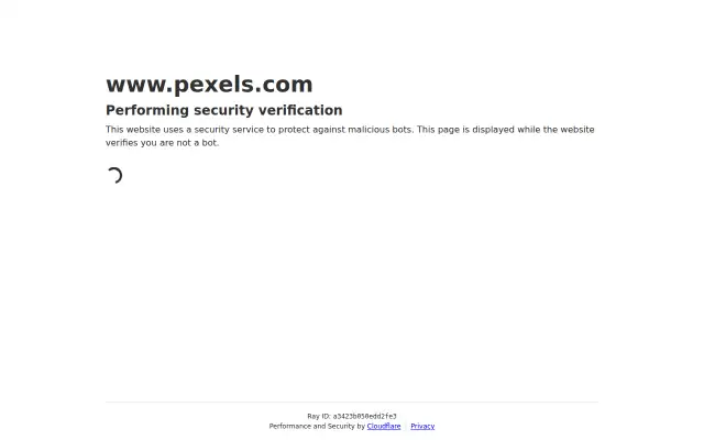 Screenshot of pexels.us