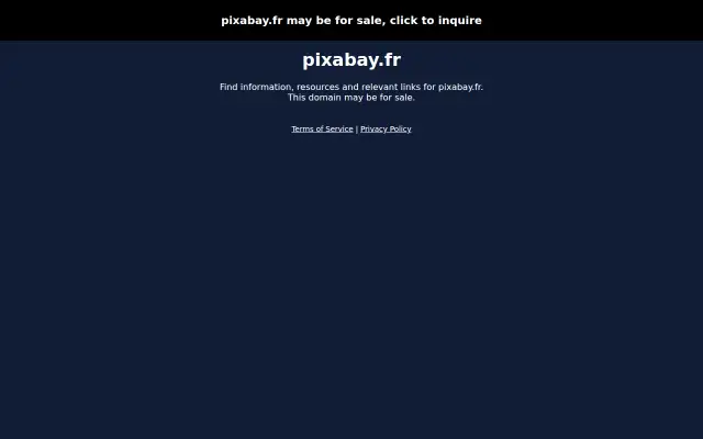 Screenshot of pixabay.fr