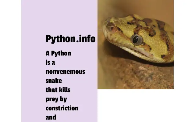 Screenshot of python.info