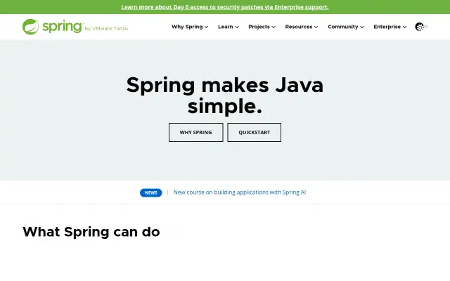 Screenshot of spring.dev